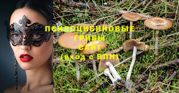 первитин Алексеевка