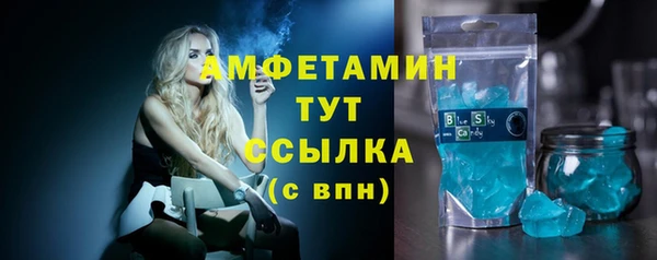 СК Алексин