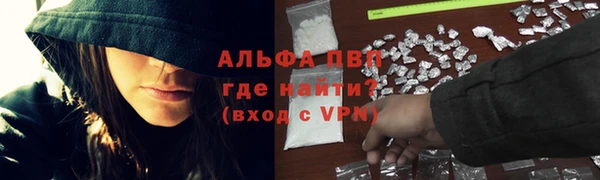jwh Алзамай