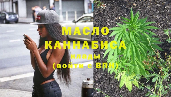СК Алексин