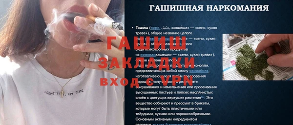 шишки Абаза
