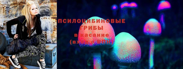 СК Алексин