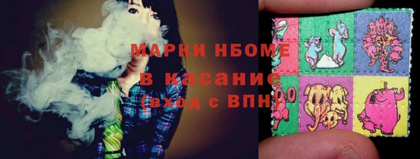СК Алексин