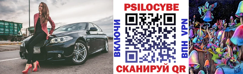 мега онион  где можно купить   Луга  Псилоцибиновые грибы Psilocybe 