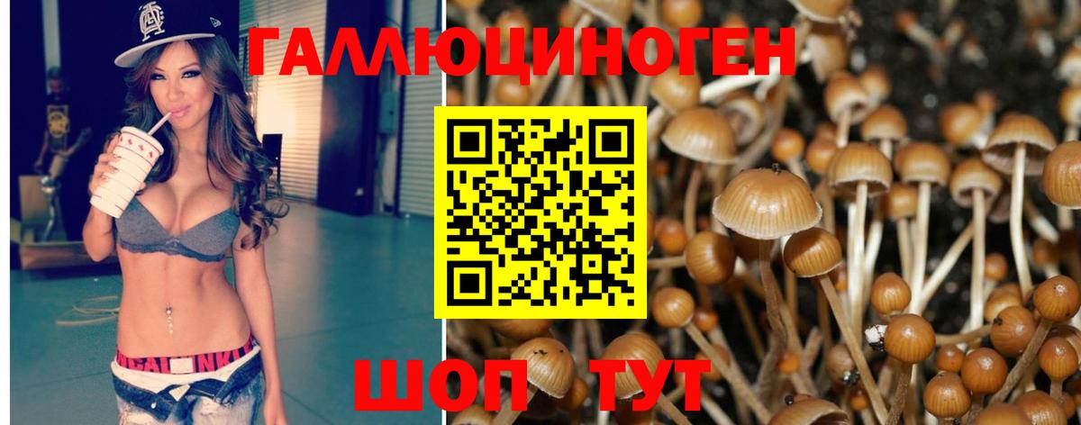 Галлюциногенные грибы MAGIC MUSHROOMS Луга